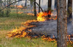 8-10 июня  в Свердловской области ожидается высокая пожарная опасность