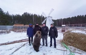 Активисты Свердловского отделения РЭО продолжают помогать фонду защиты диких животных «Альфа»