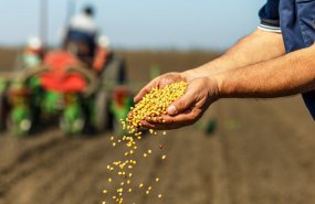 Свердловская область получила из федерального бюджета 170 млн рублей на льготное кредитование сельхозпроизводителей к посевной