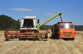 К уборке зерновых культур приступили в Свердловской области 