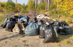 В рамках реализации нацпроекта «Экология» в Свердловской области ликвидировано более 350 несанкционированных свалок 