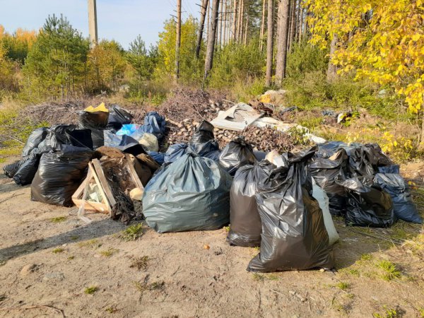 В рамках реализации нацпроекта «Экология» в Свердловской области ликвидировано более 350 несанкционированных свалок 