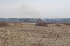 Два лесных пожара ликвидировано на территории Пышминского района 24 апреля 
