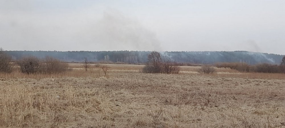 Два лесных пожара ликвидировано на территории Пышминского района 24 апреля 