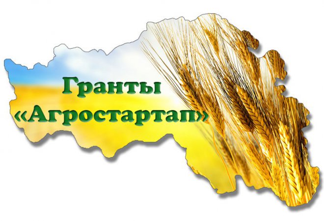 75 млн рублей получат начинающие сельхозпроизводители Свердловской области
