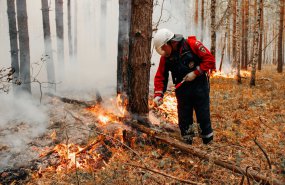 Восемь лесных пожаров ликвидировано за сутки в Свердловской области