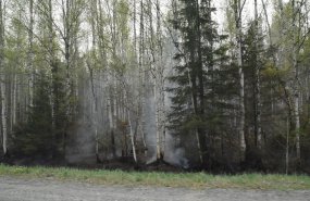 Два десятка лесных пожаров ликвидировано за сутки в Свердловской области