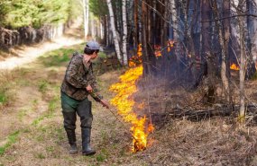 Более 900 специалистов ведут борьбу с природными пожарами на Среднем Урале
