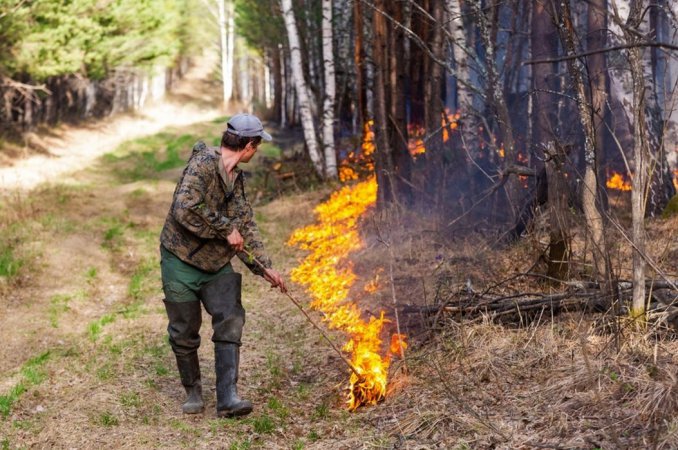 Более 900 специалистов ведут борьбу с природными пожарами на Среднем Урале