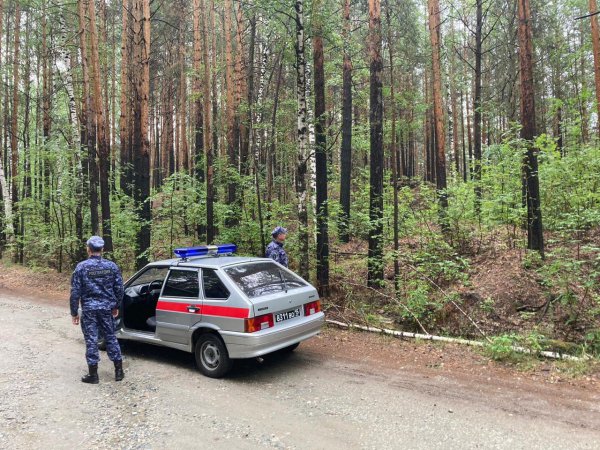 Локализованы все шесть лесных пожаров на территории Свердловской области