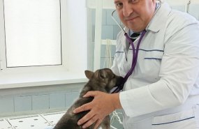 Более 50 млн экспертиз пищевой продукции животного происхождения ежегодно проводят ветеринарные врачи Свердловской области