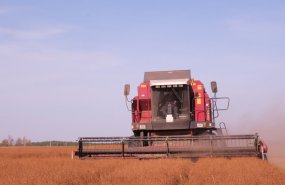 Правительство Свердловской области нацелило аграрный сектор региона на обеспечение сохранности урожая
