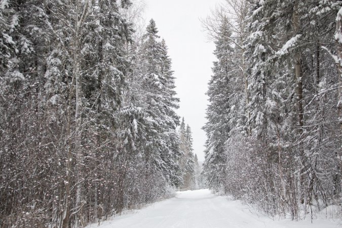 Обильные снегопады помогут увеличить урожай уральским аграриям и сохранить леса от пожаров