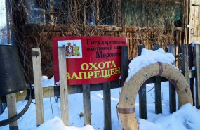 Новую схему размещения, использования и охраны охотничьих угодий разработают в Свердловской области
