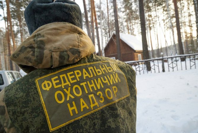 Охотинспекторы приступили к зимнему подсчету диких животных в Свердловской области
