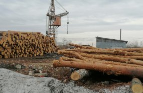 Обследования лесоперерабатывающих предприятий Свердловской области стартовали по поручению губернатора Евгения Куйвашева