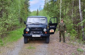 Площадь лесных пожаров в Свердловской области сократилась за выходные дни в 10 раз